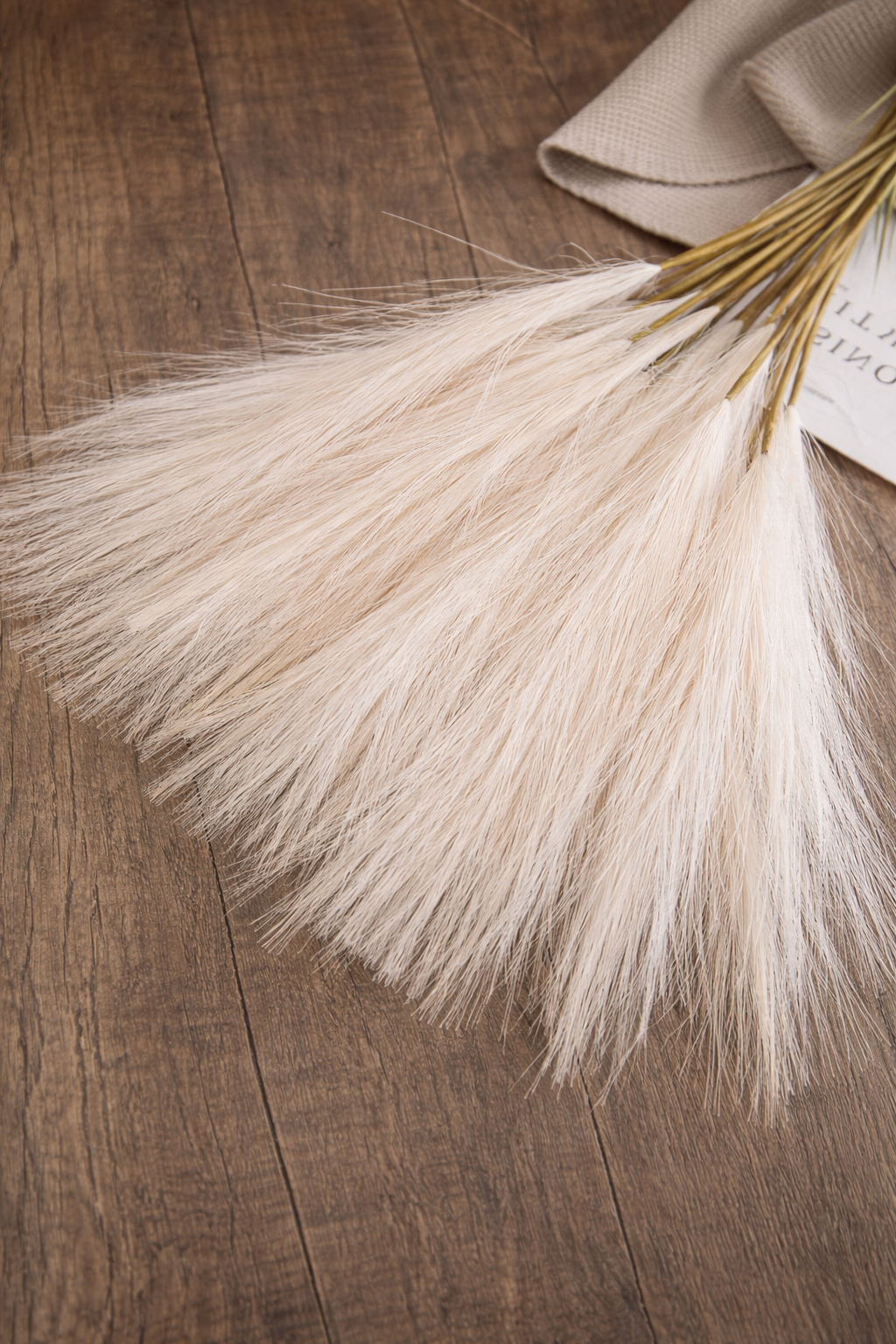 Calm Pampas – Dekozweig